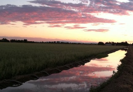 Rural Irrigation in Crowley County, Colorado