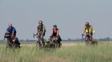 A group of People Biking